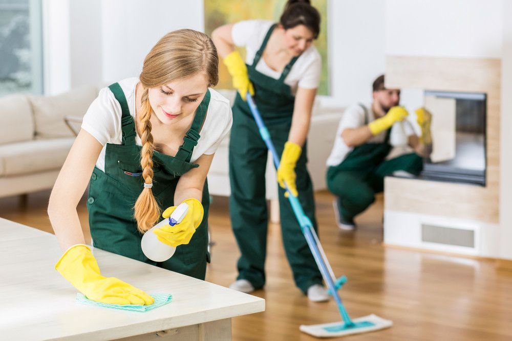 Supreme Cleaning Pro cleaner at work in a bright home